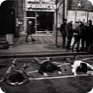Zatrzymani uczestnicy demonstracji leżą na chodniku na Placu Wacława, 15 stycznia 1989 (Źródło: ČTK)
